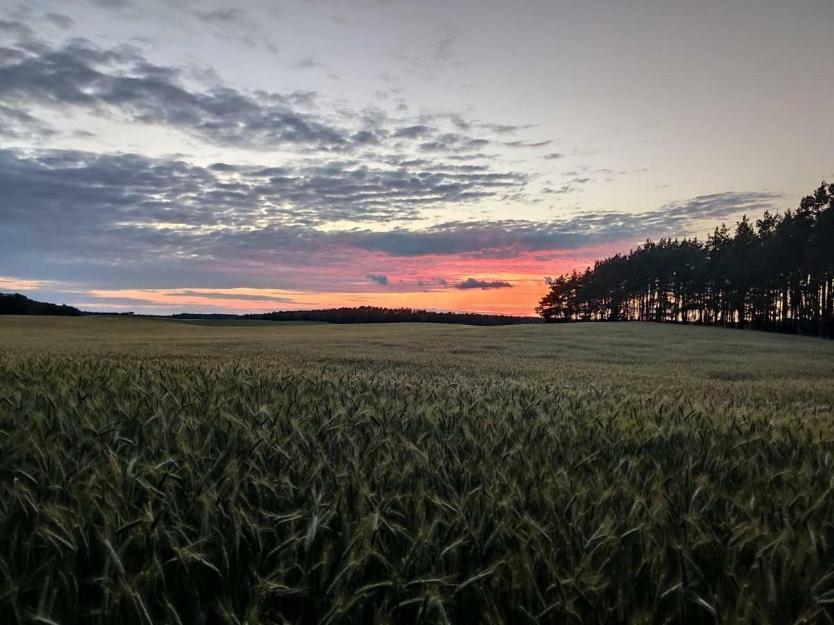 Stawy U Sikory - Dom Rybak - Agroturystyka I Lowisko Nowa Wies  Экстерьер фото