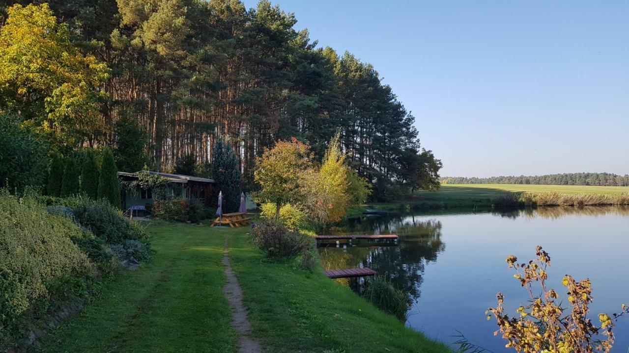 Stawy U Sikory - Dom Rybak - Agroturystyka I Lowisko Nowa Wies  Экстерьер фото